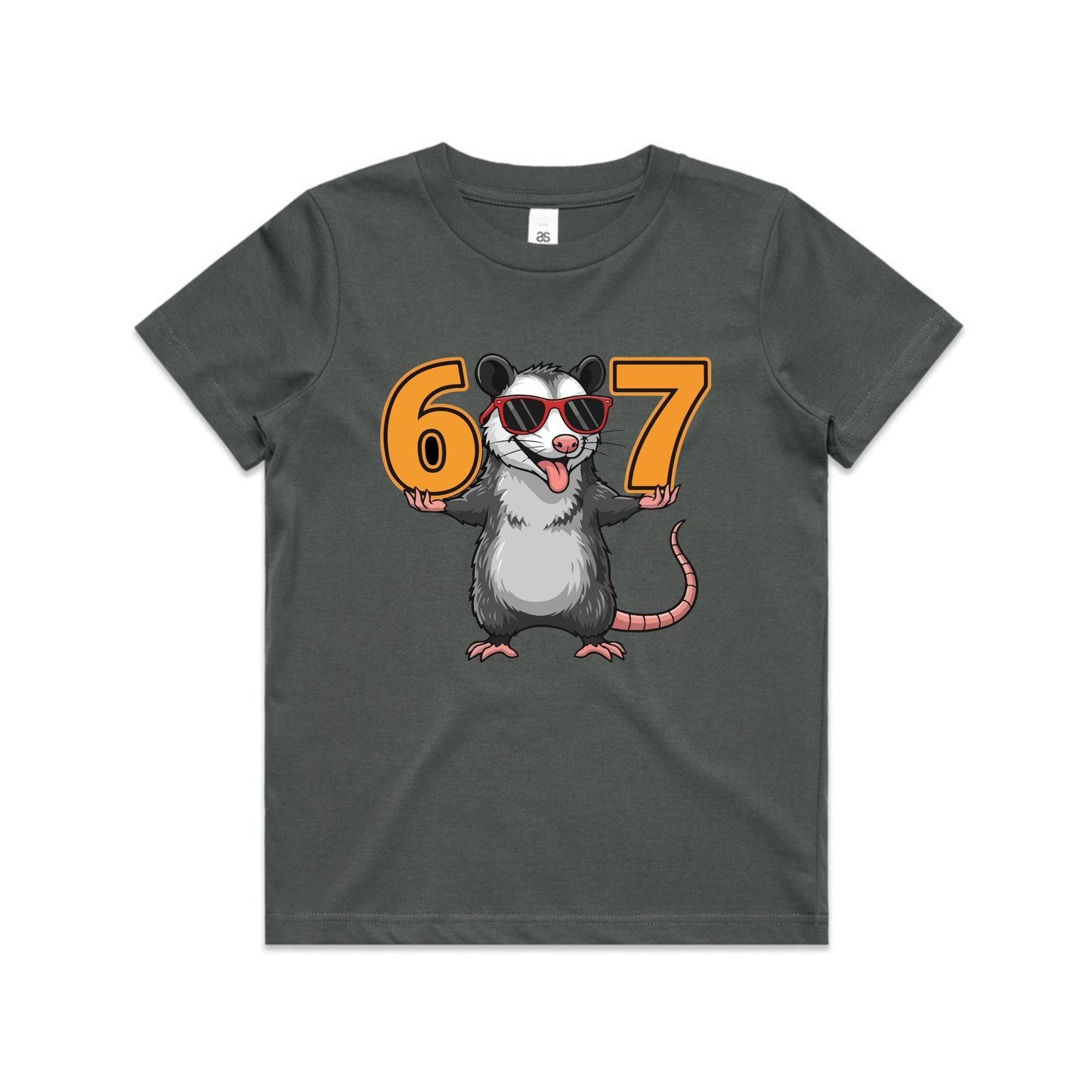 6 7 RACOON