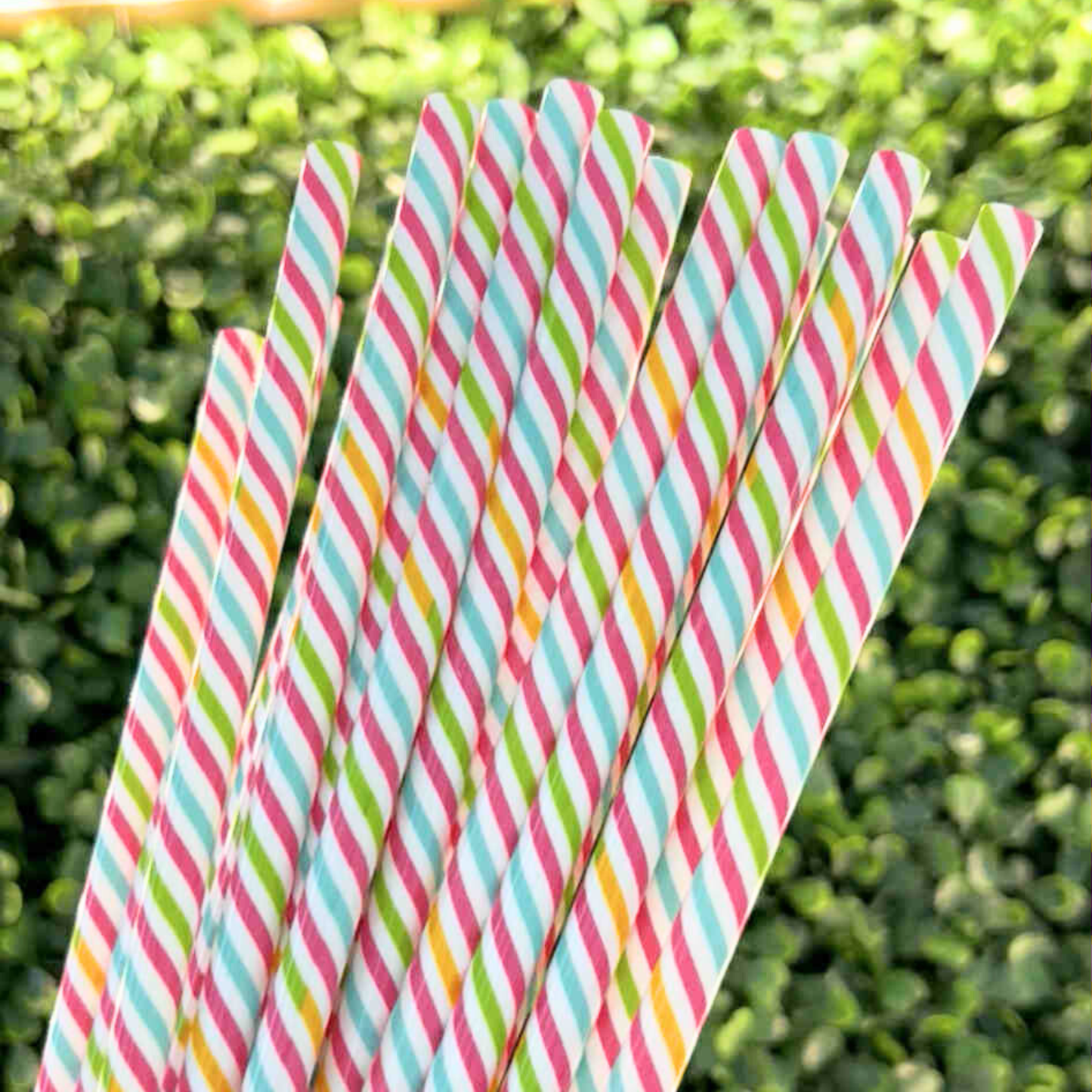 CANDY TWIRL PRINT PLASTIC STRAW