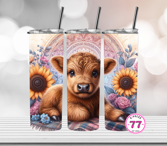 Mandala Highland Cow