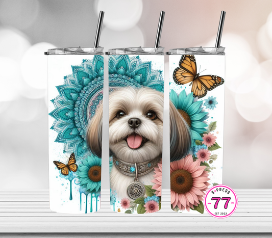 Sunflower Shih Zhu