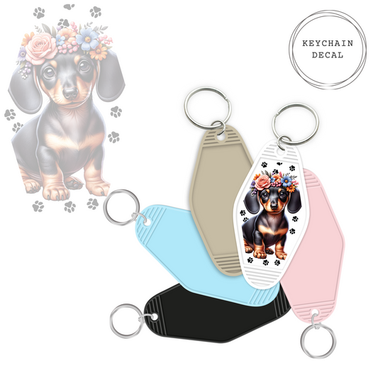 DACHSHUND