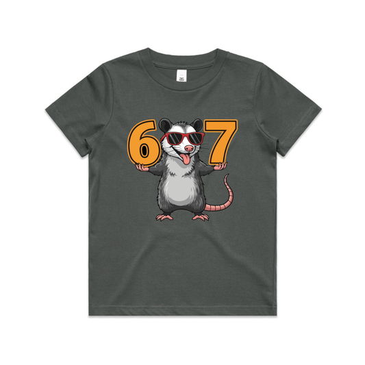 6 7 RACOON