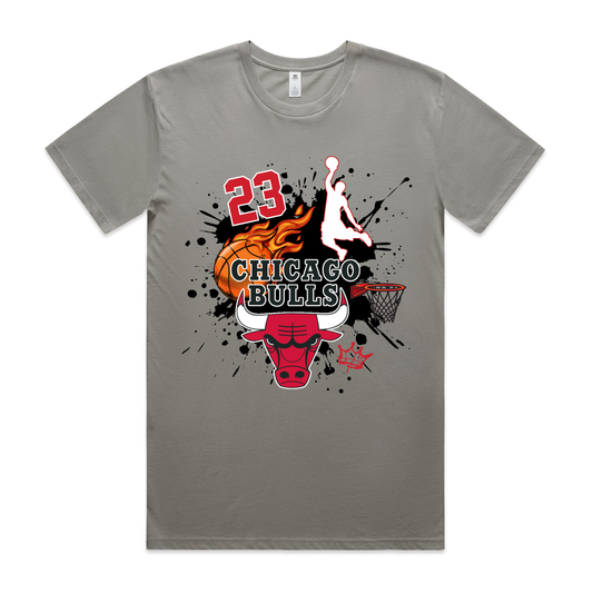 CHICAGO BULLS